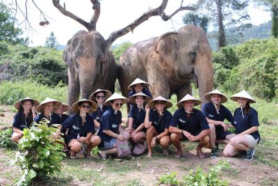 Koh Samui Eco Tour incl. Elephant Riding