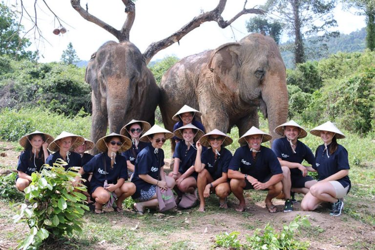 Koh Samui Eco Tour incl. Elephant Caring Shore Excursions Asia