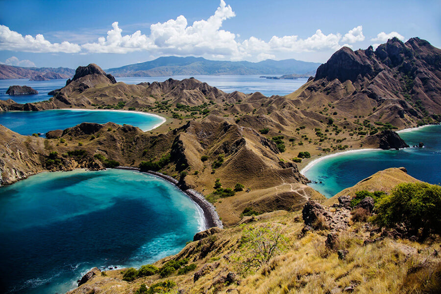 Komodo Island Half Day Tour