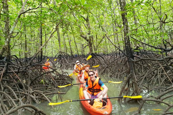 Langkawi Mangrove Trip by Kayak