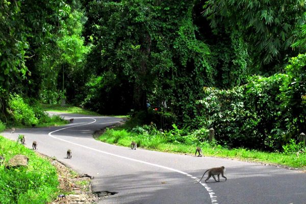 Lombok – Senggigi Tour