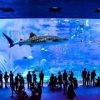Naha Nature Sightseeing Tour