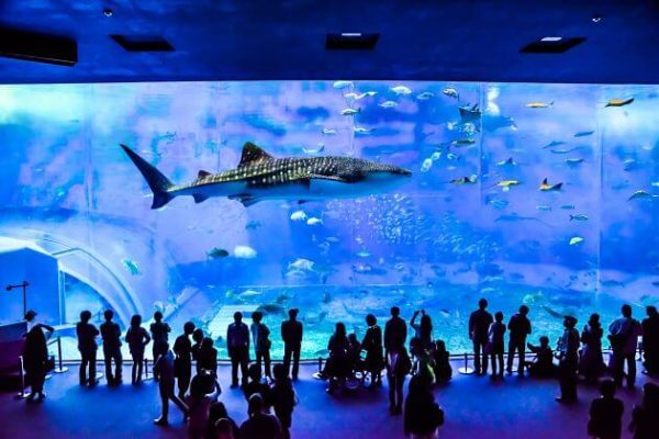 Naha Nature Sightseeing Tour