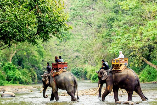 Phuket Safari Tour