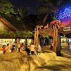 Singapore Night Safari Tour