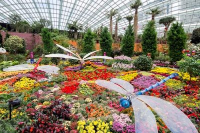 Singapore’s Gardens by the Bay with Lunch