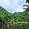 Yanoda Tropical Rainforest