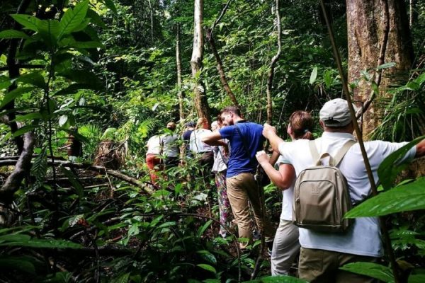 Langkawi Rainforest Explorer