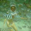 samui-sea-walking