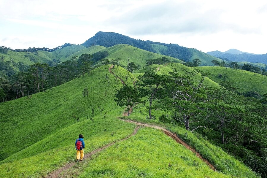 admire the majestic beauty of nature in Lam Dong, Viet Nam