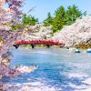 Culture of Aomori-shore-excursions
