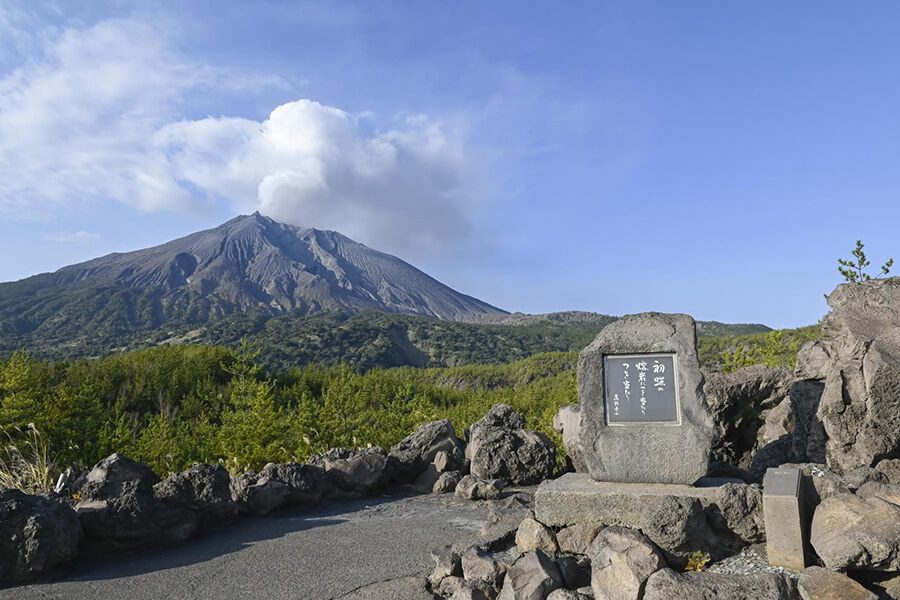 Arimura Lava Observatory - Shore Excursions Asia