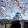 Osaka Castle Japan - Shore Excursions Asia