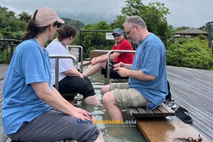 Sakurajima & Tenmonkan- Kagoshima tours from cruise port