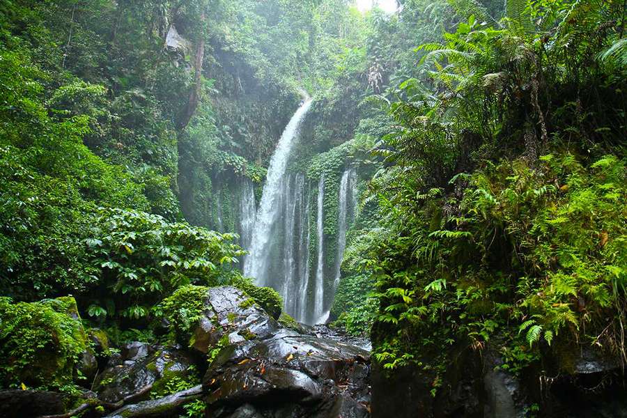 Lombok Waterfalls -Lombok shore excursions