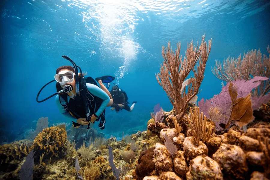 Scuba Diving - Komodo shore excursions