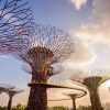 Gardens by the Bay -Singapore shore excursions