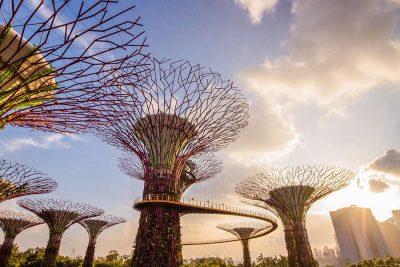 Gardens by the Bay -Singapore shore excursions