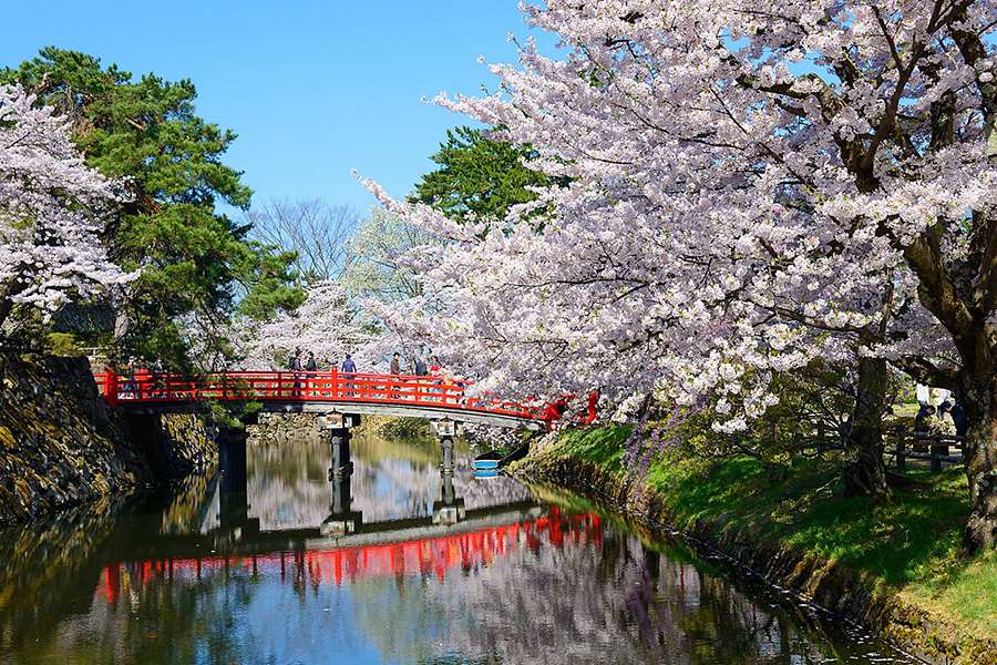 Hirosaki Park - Aomori shore excursions