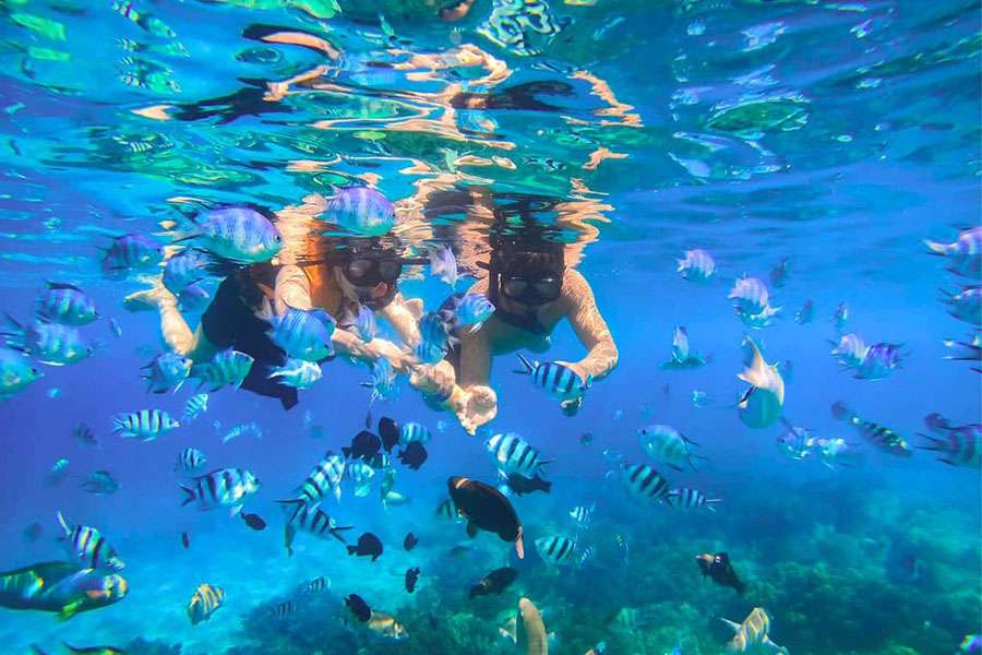 Snorkeling during Nha Trang shore excursions