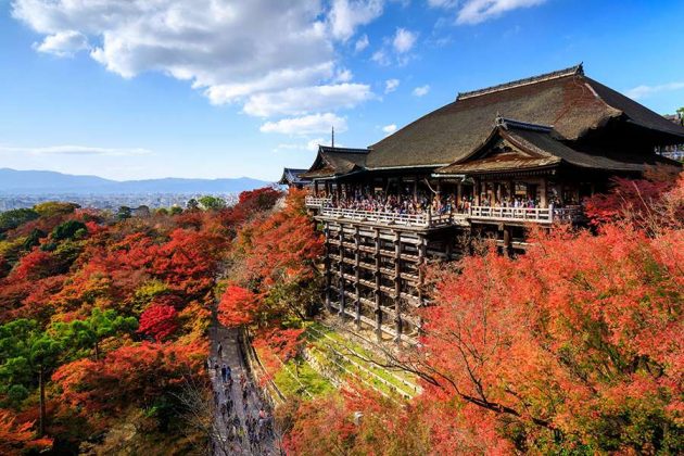 Autumn in Asia | 8 Must-Visit Spots for Breathtaking Fall Foliage ...