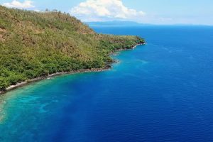Best time for Ambon tour