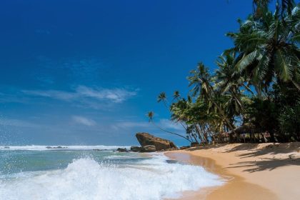 Bintan Island Shore Excursions