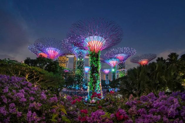 Gardens by the Bay at night - Singapore Pre or Post Cruise
