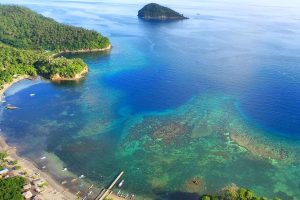 Things to Do and Bitung Tour Ideas for Cruise Passengers