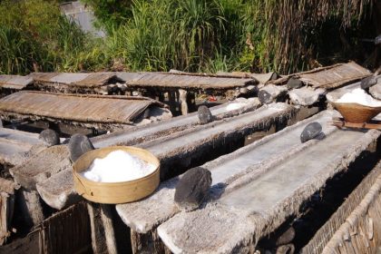 traditional salt-making village - Bali shore excursions