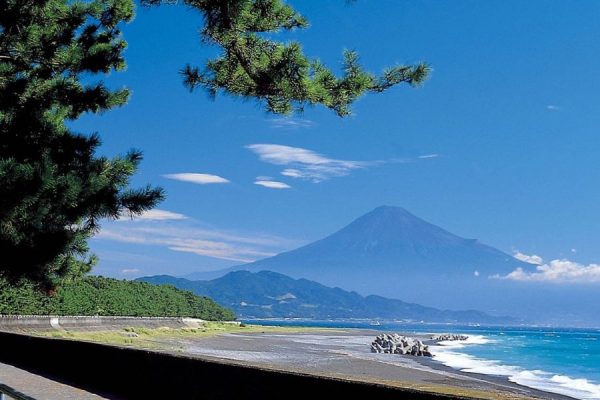 Miho-no-Matsubara - Shizuoka highlight tour
