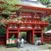 Mt.Fuji Views & Shizuoka Highlights Tour