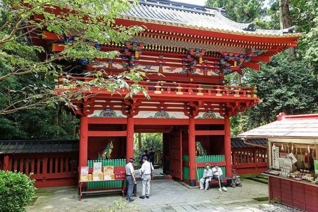 Mt.Fuji Views & Shizuoka Highlights Tour