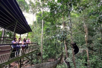 Sandakan Shore Excursions