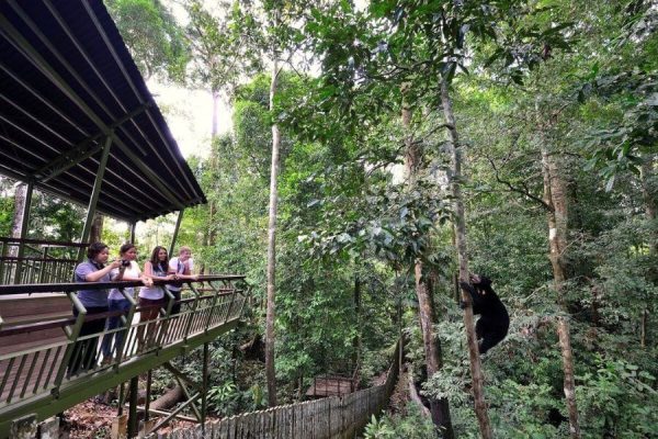 Sandakan Shore Excursions