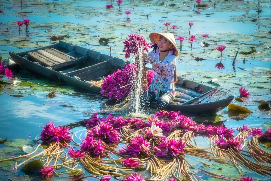 Vietnam shore excursions for cruise ship passengers