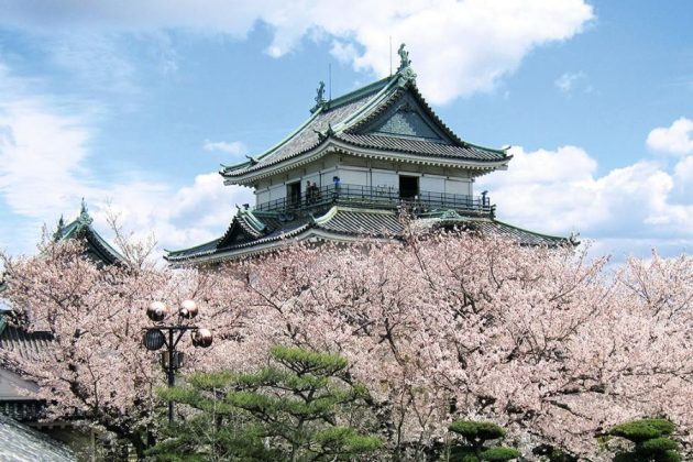 Wakayama Castle - Wakayama shore excursions