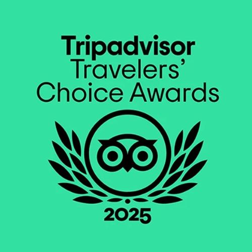 2025 Shore Excursions Asia Tripadvisor Award