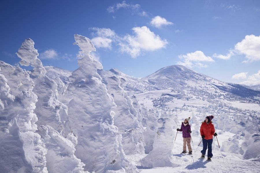 Aomori shared shore excursions