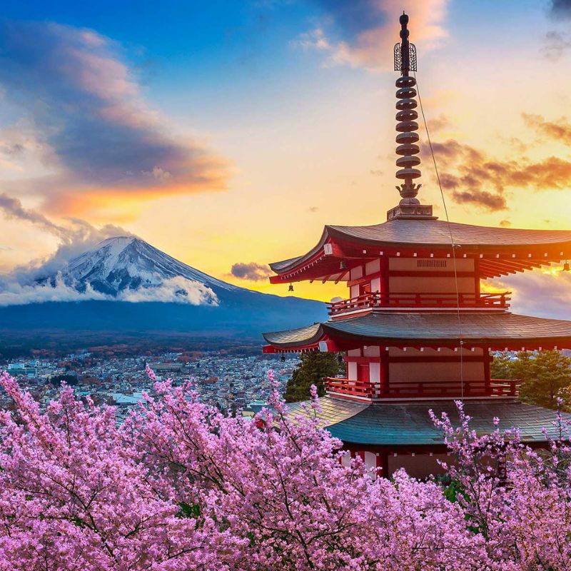 Japan cruise destination for agency partners