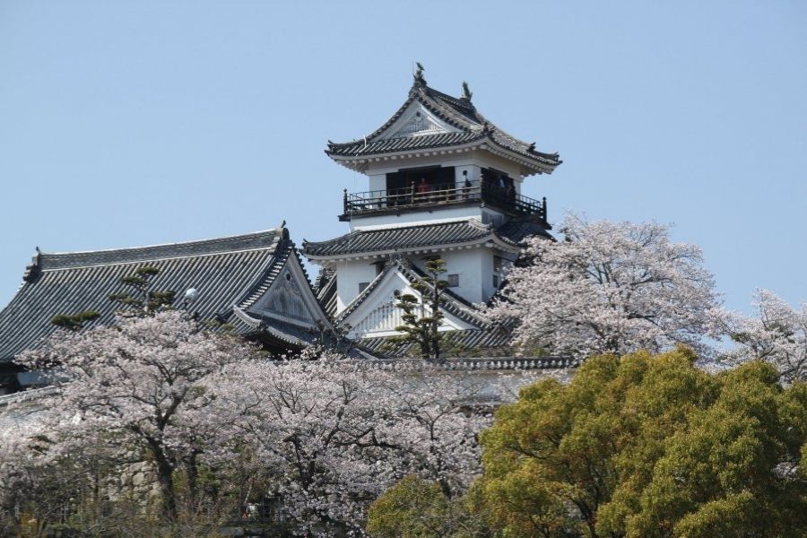 Kochi Japan shared shore excursions