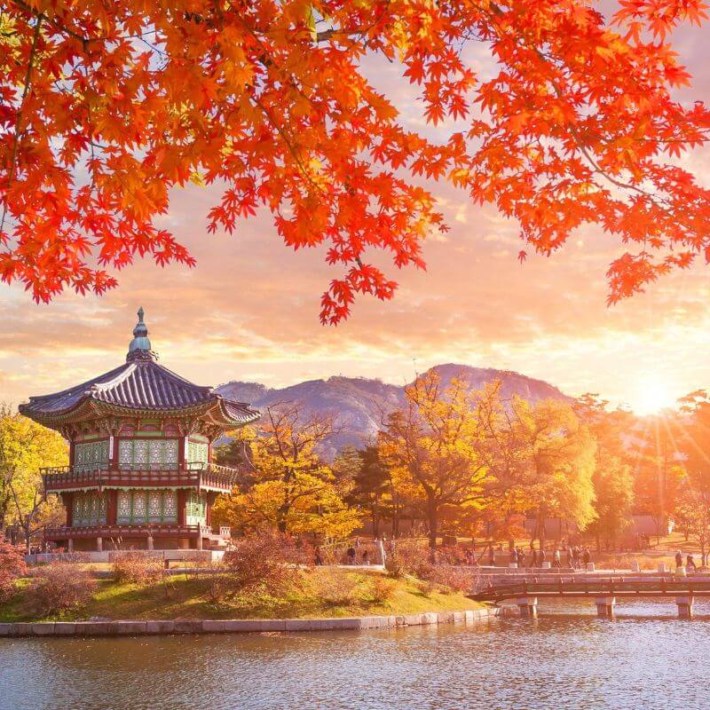 Korea cruise stopover for partner agencies