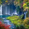 Shimizu Highlights Tour
