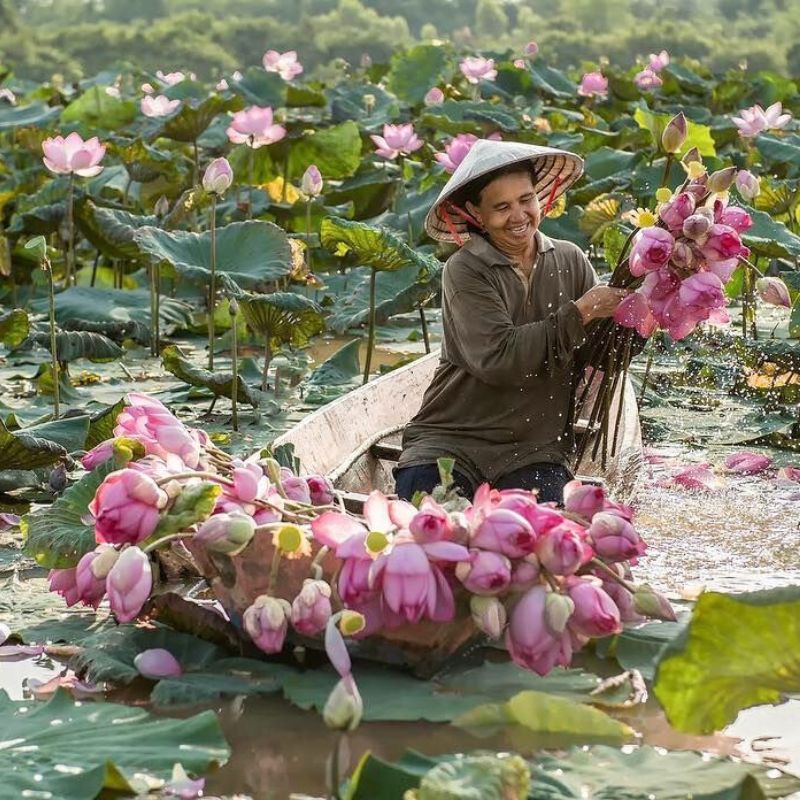 Vietnam local experience with cruise partner support
