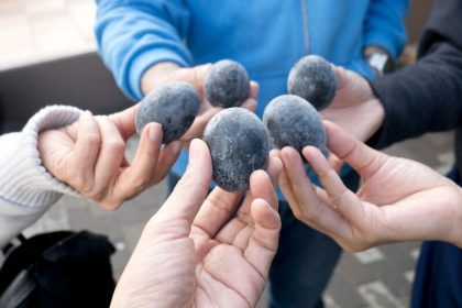 Black egg - Hakone highlights tour