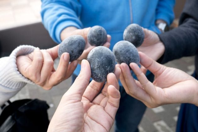 Black egg - Hakone highlights tour