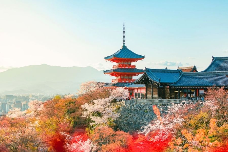 Kyoto Shore Excursions, Day Tours & Trips for Cruise Ship Passengers