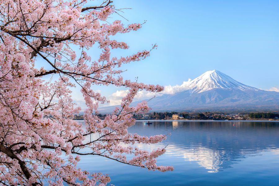 Top Japan Shore Excursions, Cruise Tours & Day Trips from Cruise Port