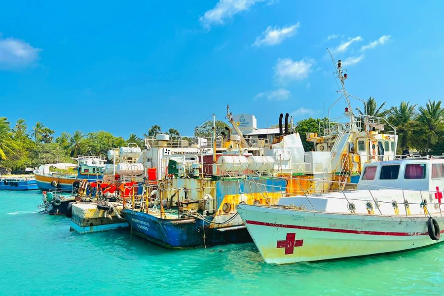 Delft Island, Sri Lanka - A Secluded Cultural Gem