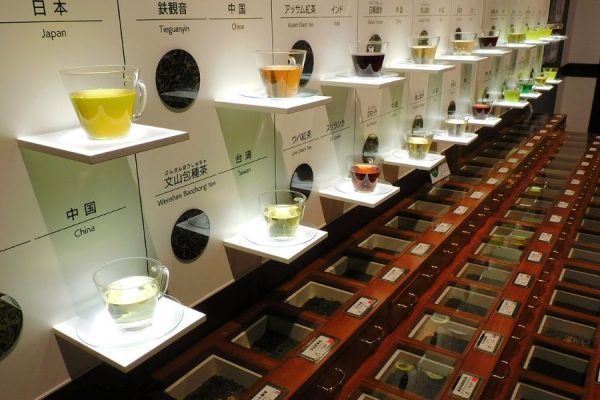 Fujinokuni Cha-no-Miyako Museum